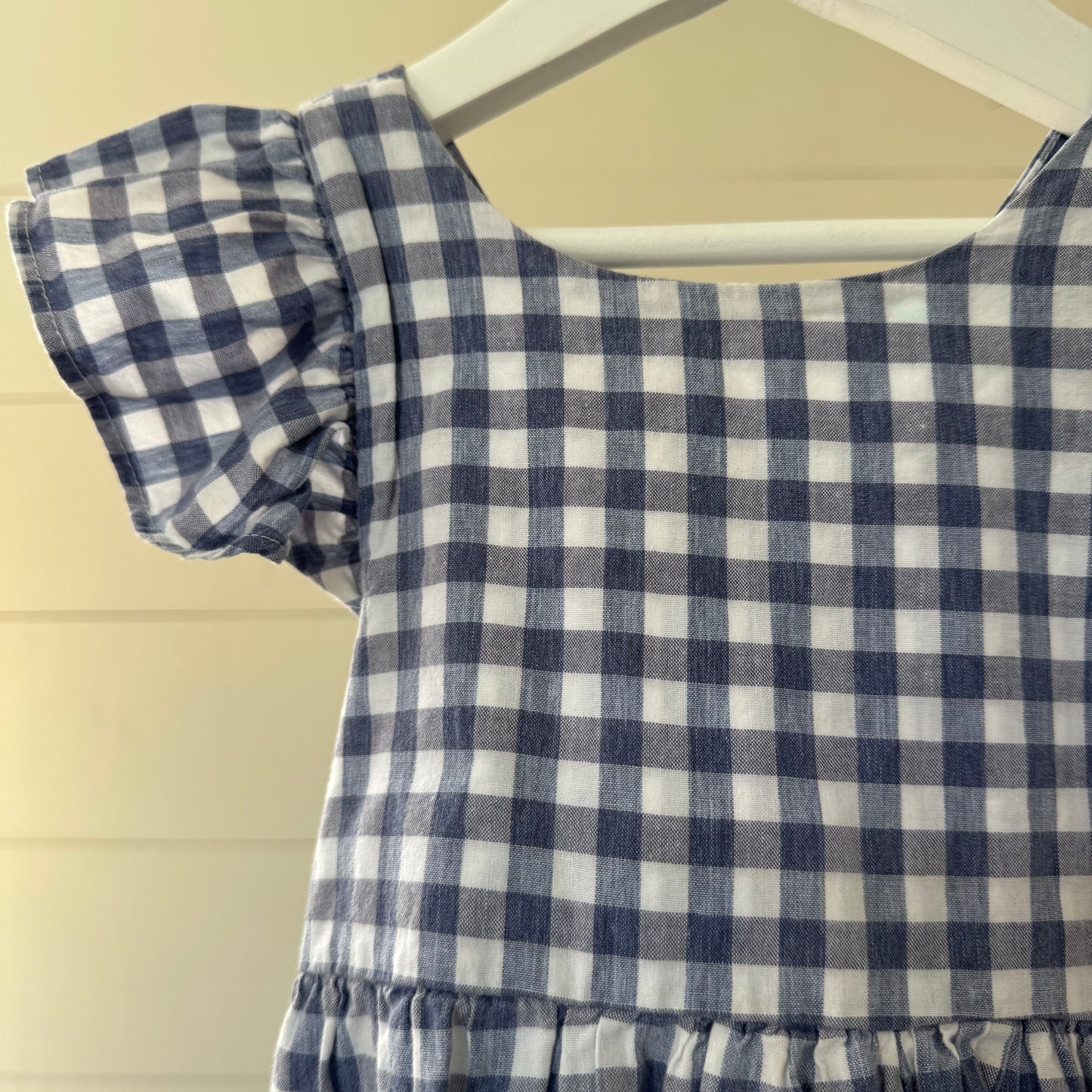 Blue Gingham Dress (2/3y)