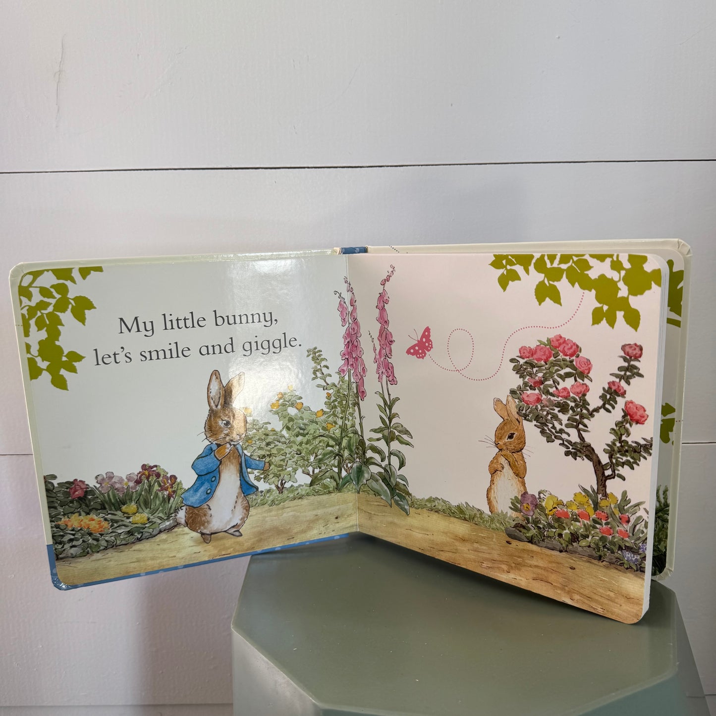 Peter Rabbit Board Book