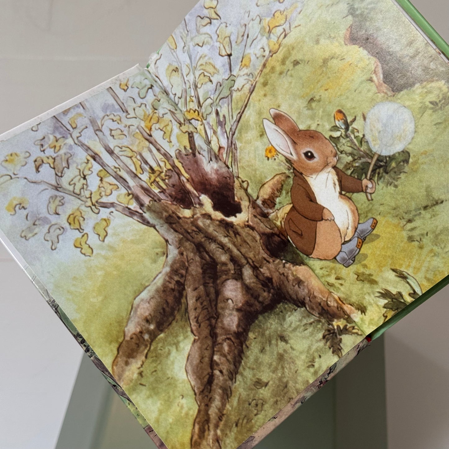 The Tale of Benjamin Bunny